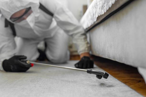 Professional Cockroach Control technician working in Atwater, MN
